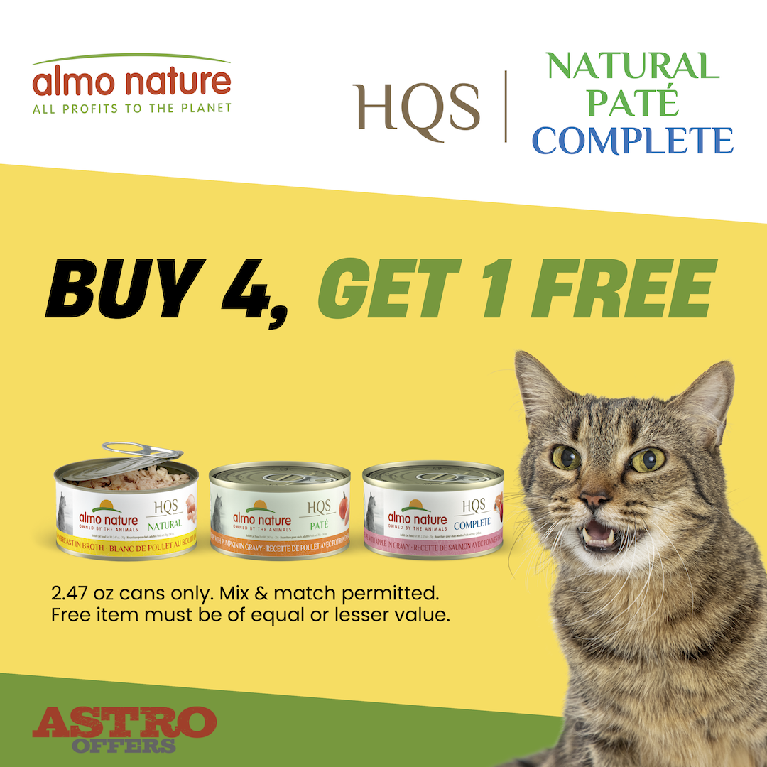 Promotion Image