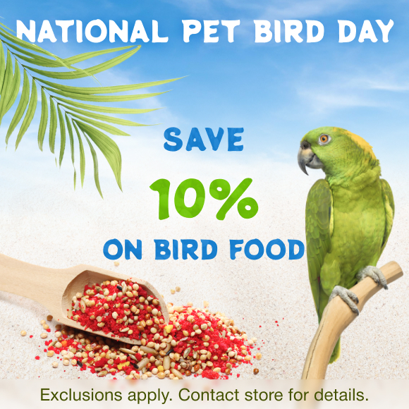 Promotion Image