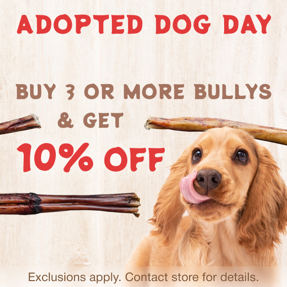 Promotion Image