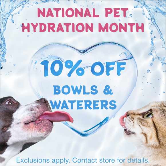 Promotion Image
