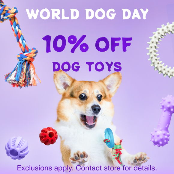 Promotion Image