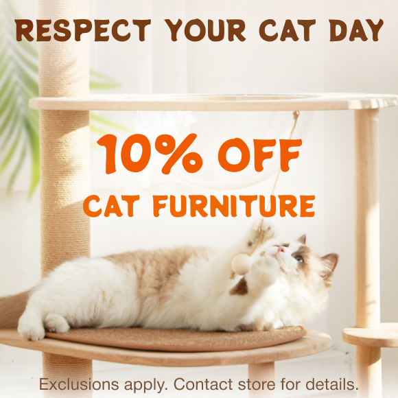 Promotion Image