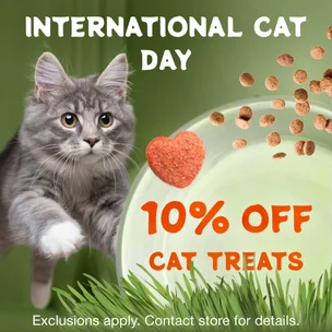 International Cat D…
