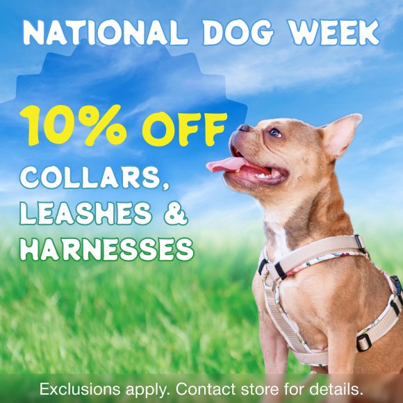 Promotion Image