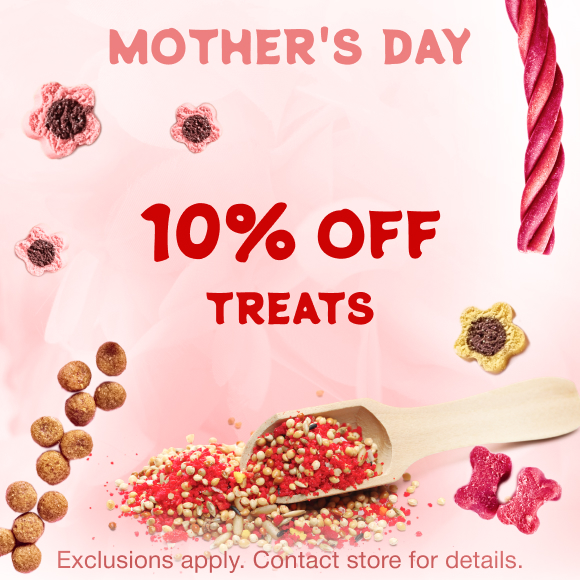 Promotion Image