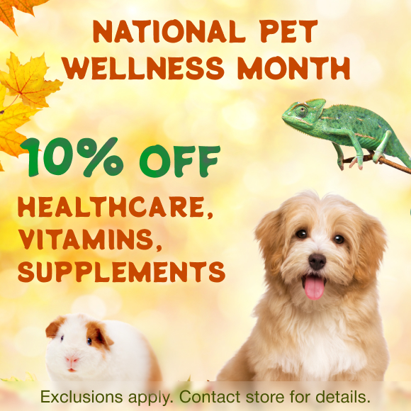Promotion Image