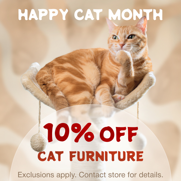 Promotion Image