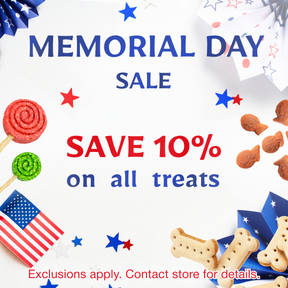 Promotion Image
