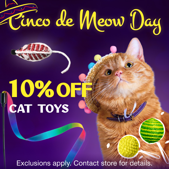 Promotion Image