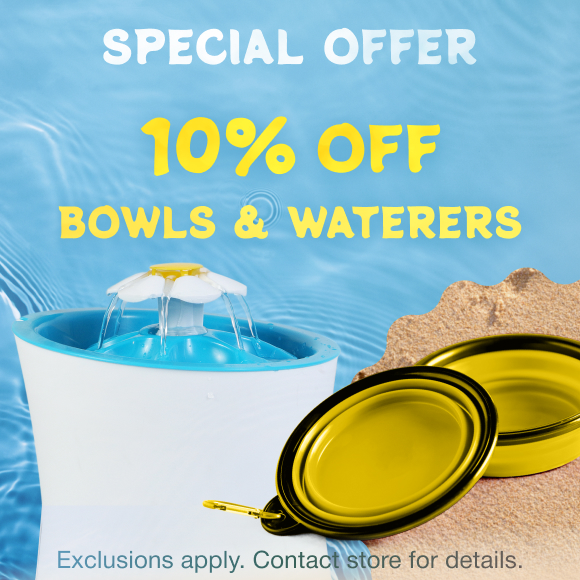 Promotion Image