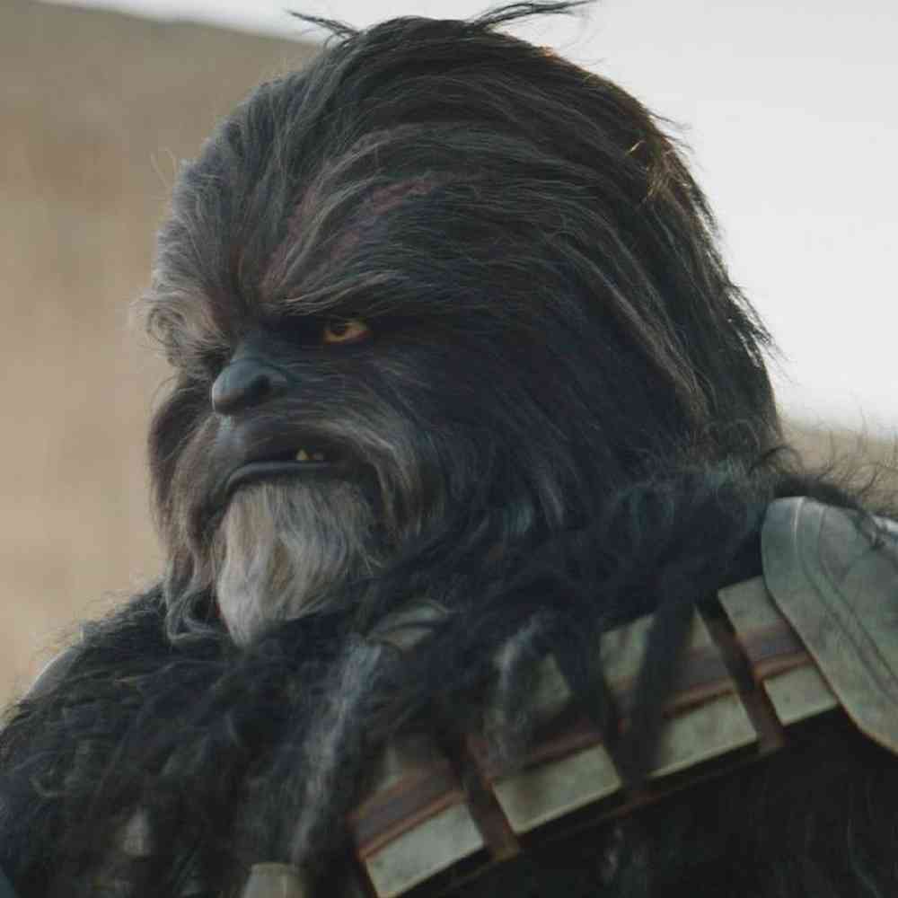 Wookie image