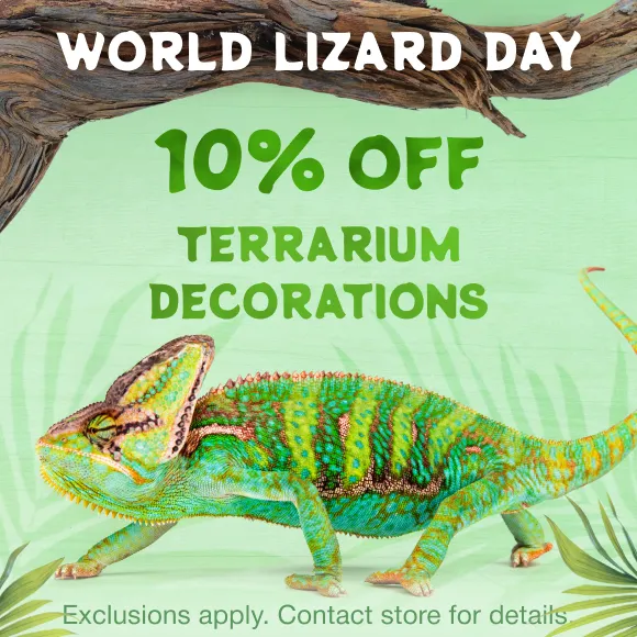 Promotion Image