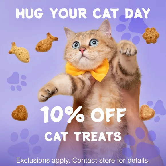 Promotion Image