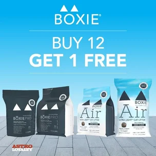Boxiecat | Medium Bags | NEW Official US Buy 12, Get 1 FREE