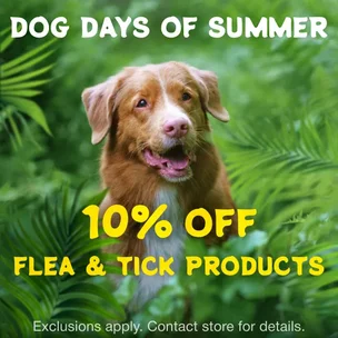 Dog Days of Summer!…
