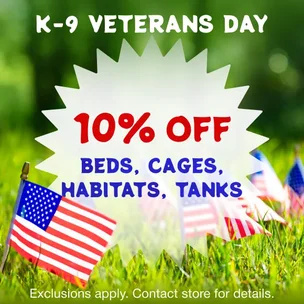 K-9 Veterans Day! 1…