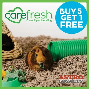Carefresh Bedding | All Sizes and Types | OFFICIAL Buy 5, Get 1 Free