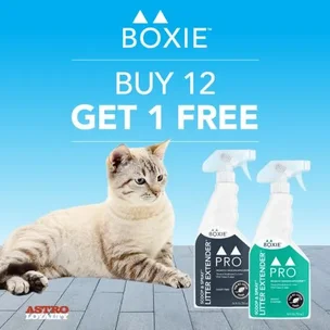 Boxiecat Litter Extender Spray | 24 oz | Buy 12, Get 1 Free