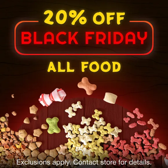Promotion Image