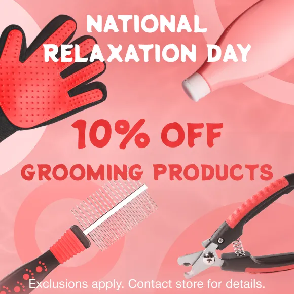 Promotion Image
