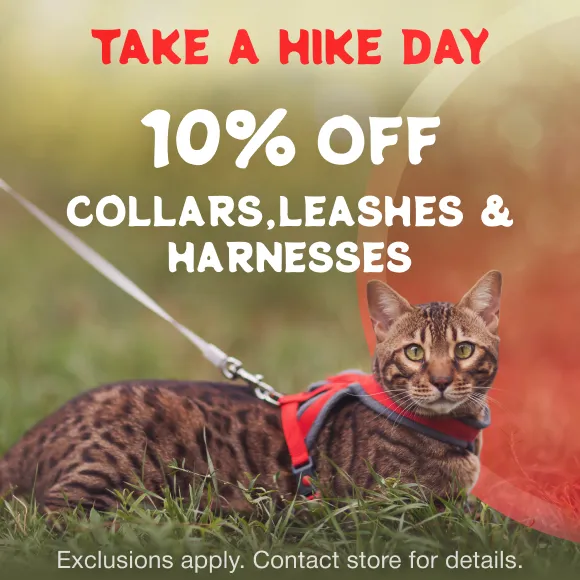 Promotion Image