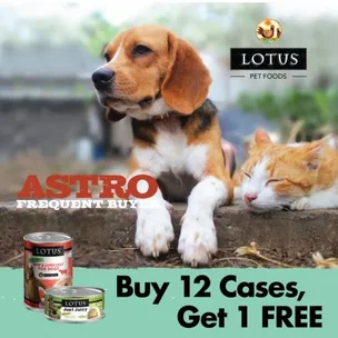 Lotus CAT | 24 x 2.3oz & 24 x 2.75oz Cases | Buy 12 Get 1 Free