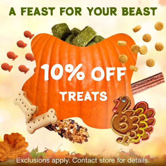 Promotion Image