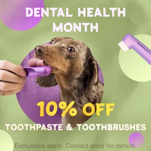 Dental Health Month…