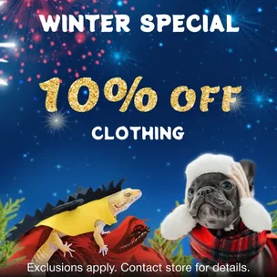 Winter Special! 10%…