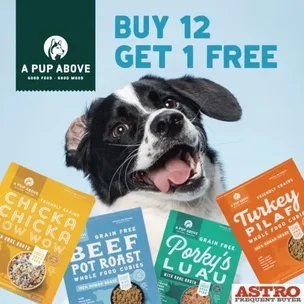 A Pup Above DOG | 3lb Fresh Food MD | Official Buy 12 Get 1 Free