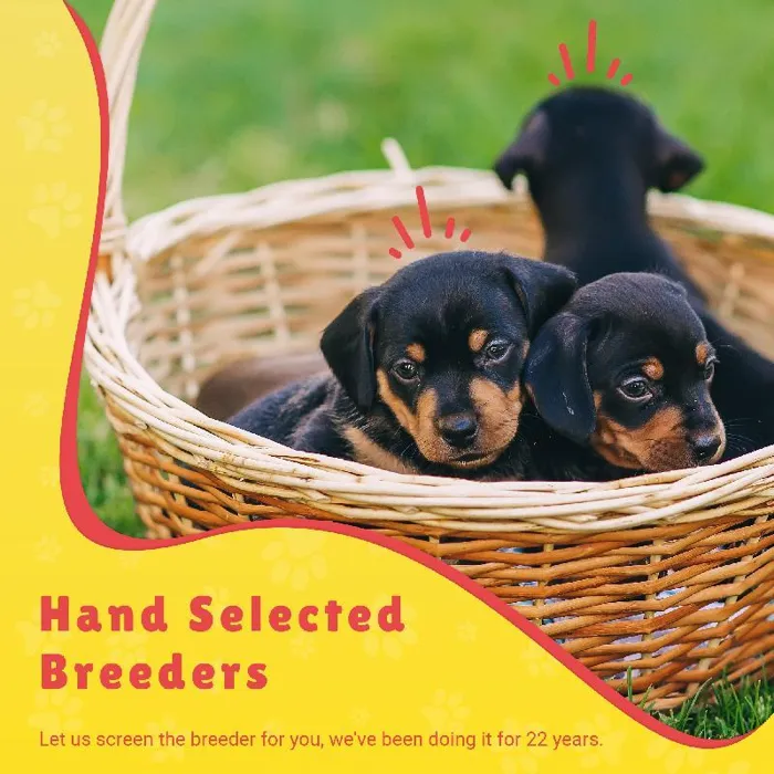 Hand Selected Breeders