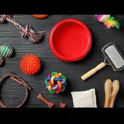 Image Alternative Text