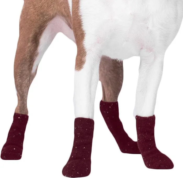 Cambridge Dog Socks In Maroon X-large