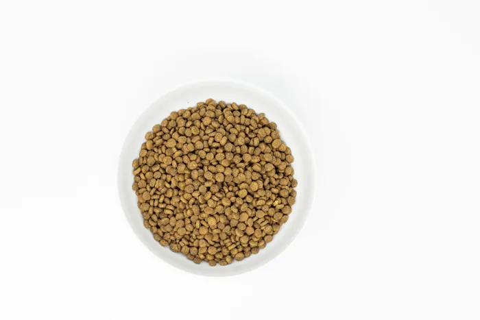 Raw Coated Kibble Wild Caught Salmon - 2.5lb