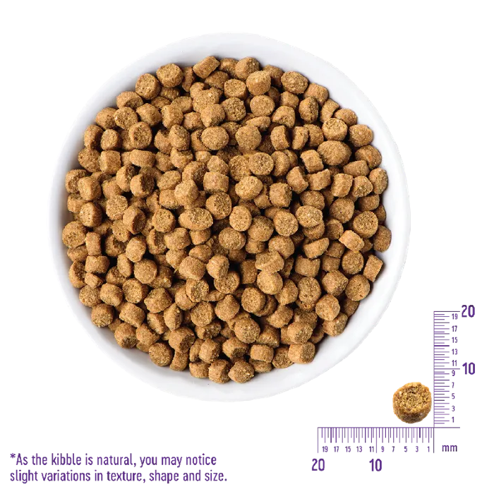 Complete Health Grain Free Kitten Deboned Chkn And