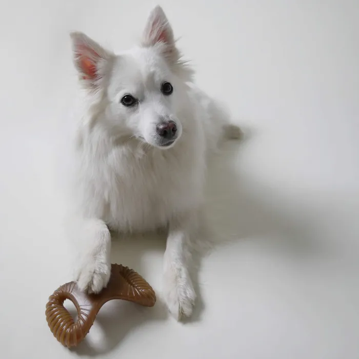 Dental Chew Chicken - Medium M