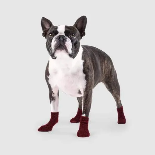 Cambridge Dog Socks In Maroon X-large
