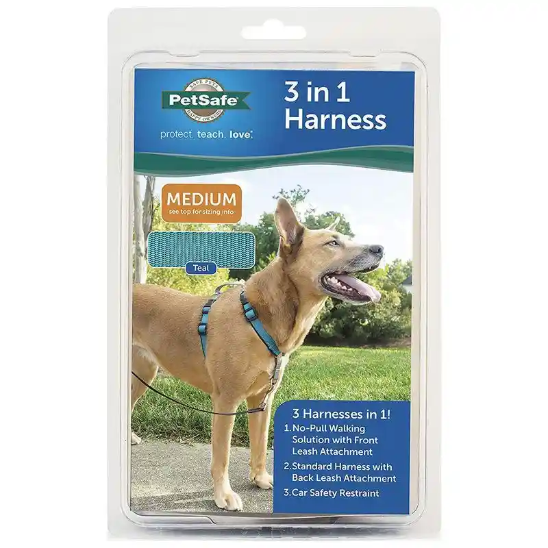 3 In 1 Harness Medium Teal Medium