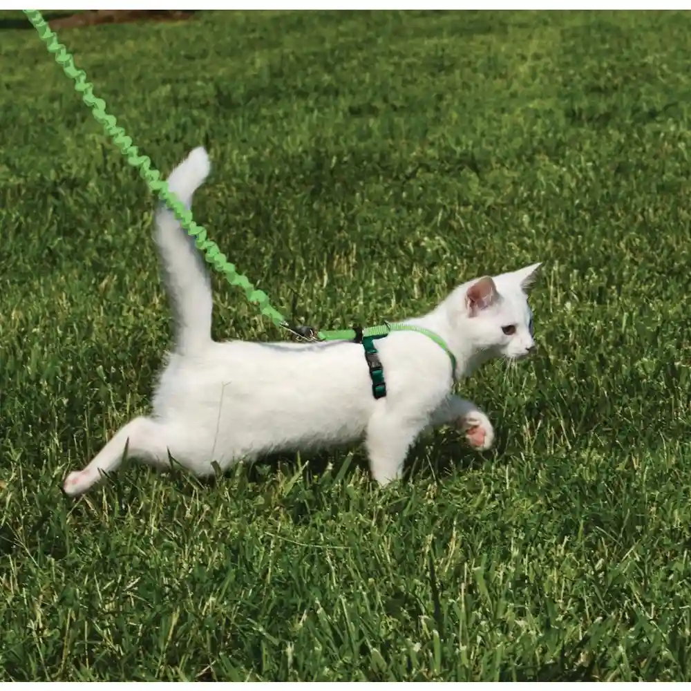 Harness & Bungee Leash Large Electric Lime
