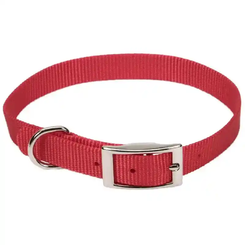 Single Ply Dog Collar - Black Xsml 3/8" X 10"