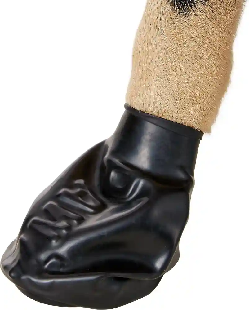 Waterproof Dog Boots, Black, 12 Count Large