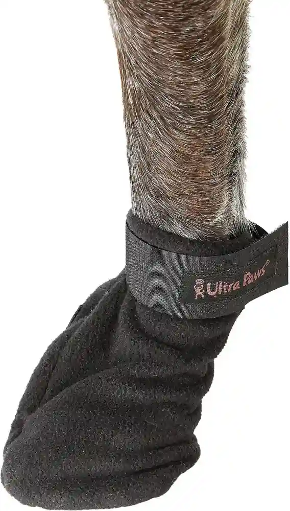 Traction Black Dog Boots 2x-petite