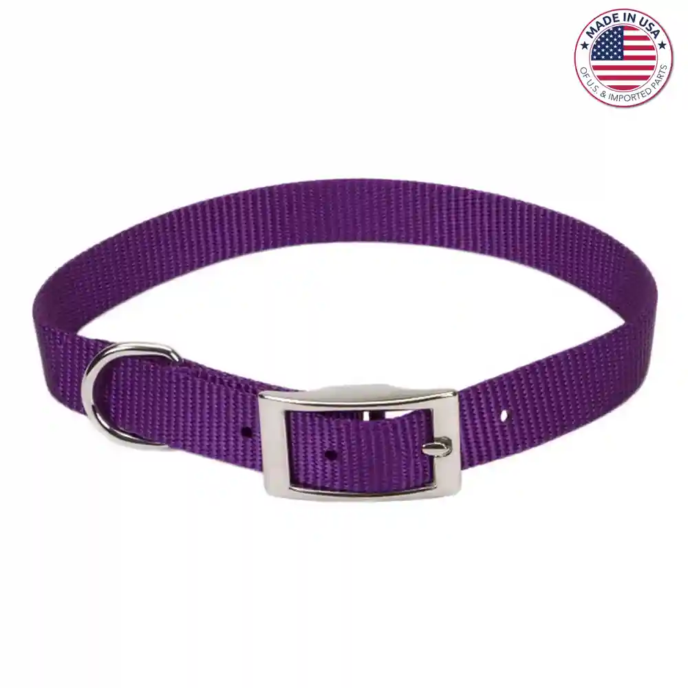 Single Ply Dog Collar - Purple Xsml 3/8" X 10"