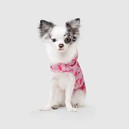 Pick Me Poncho In Pink Flamingo 16"