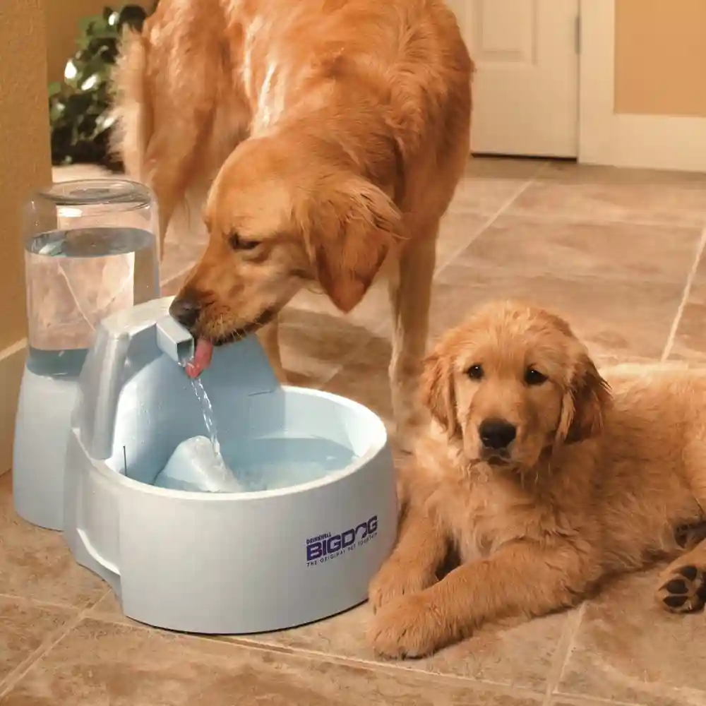 Drinkwell Big Dog Pet Fountain One Size