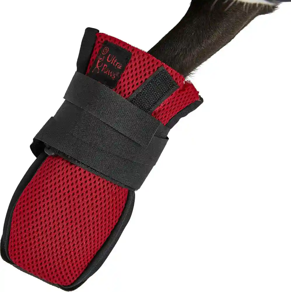 Wound Dog Boot Small