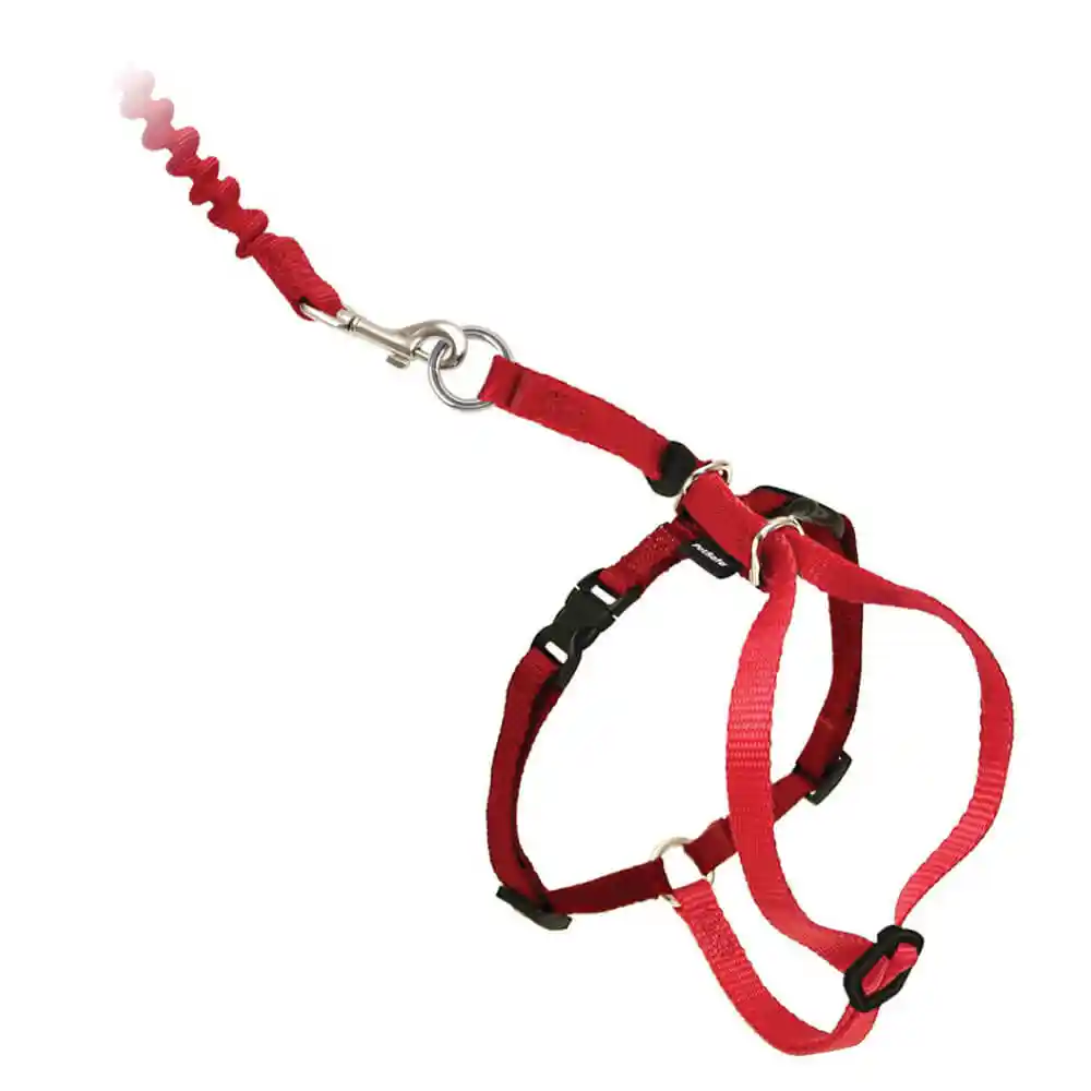 Harness & Bungee Leash Medium Red Medium