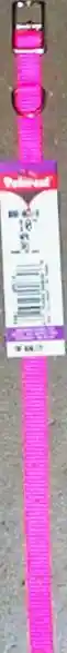Single Ply Dog Collar - Neon Pink Xsml 3/8" X 10"
