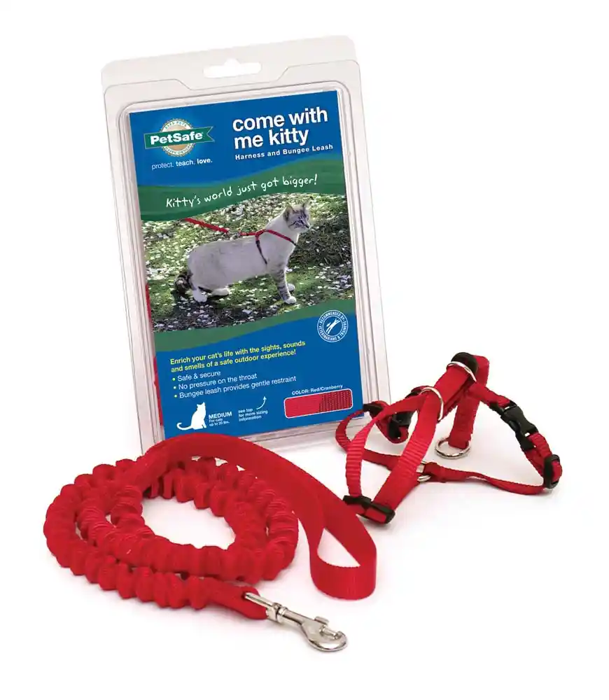 Harness & Bungee Leash Medium Red Medium