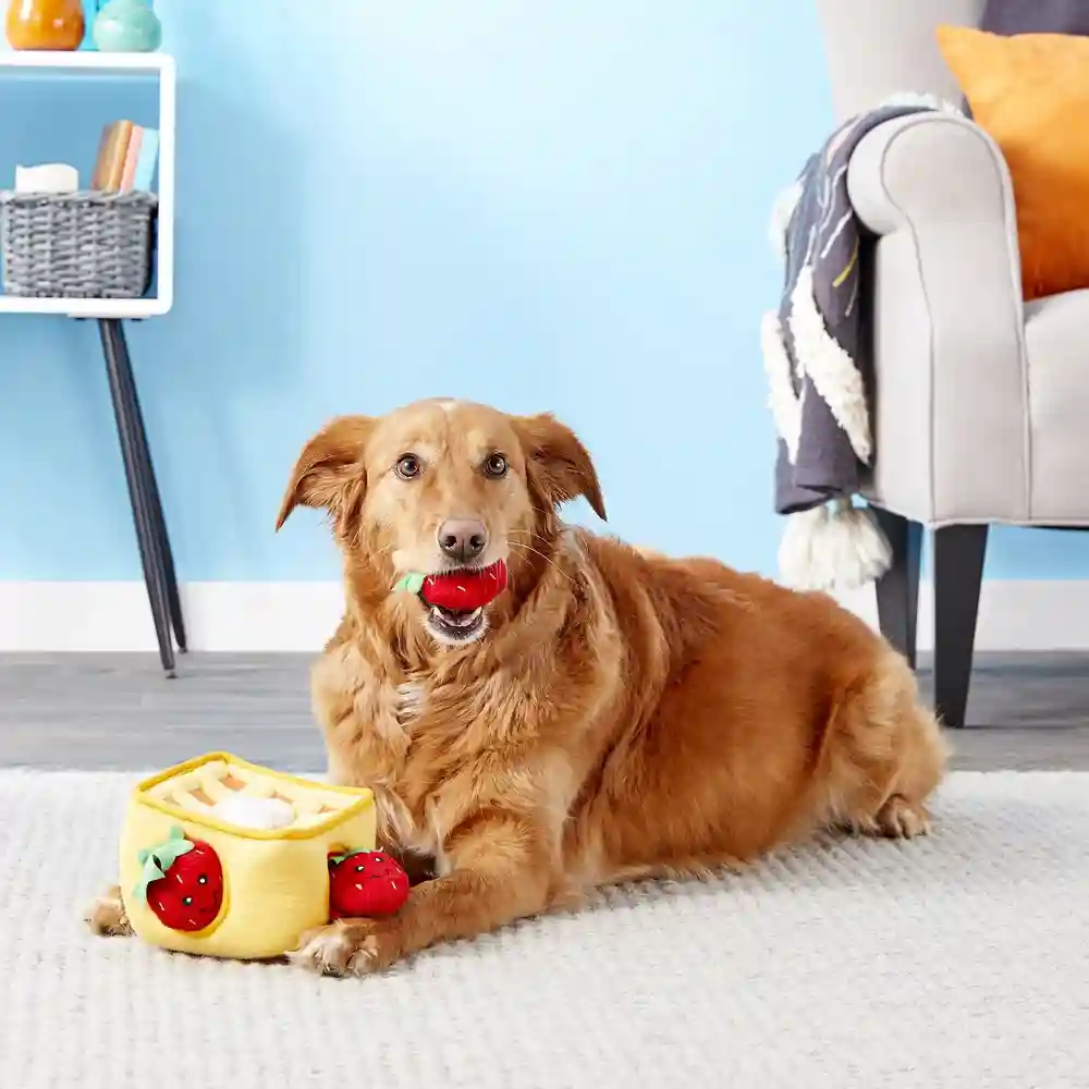 Zippy Burrow Strawberry Waffle Puzzle Dog Toy Plush